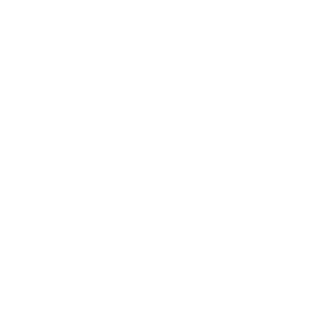 logo NG Detailing